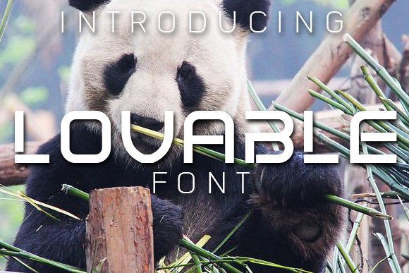 Lovable Font Review: A Display Typeface for Branding